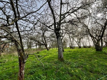 Maison a vendre Challement 58420 Nièvre 81 m2 3 pièces 74400 euros