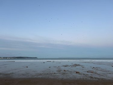 Maison a vendre Kerlaz 29100 Finistère 157 m2 6 pièces 272480 euros