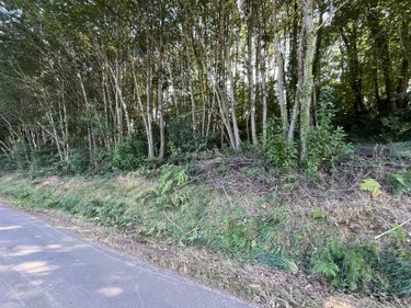 Terrains de loisirs bois etangs a vendre Hamelin 50730 Manche 2070 m2  3700 euros