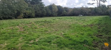 Terrain a batir a vendre Crozon 29160 Finistère 1110 m2  242420 euros