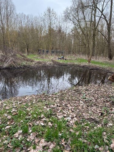 Maison a vendre Serques 62910 Pas-de-Calais 75 m2 3 pièces 194625 euros