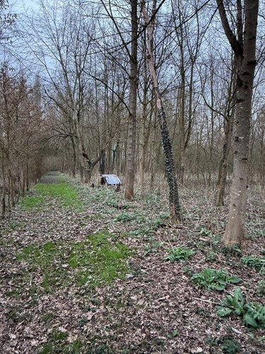 Maison a vendre Serques 62910 Pas-de-Calais 75 m2 3 pièces 194625 euros