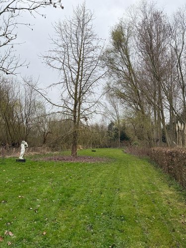 Maison a vendre Serques 62910 Pas-de-Calais 75 m2 3 pièces 194625 euros