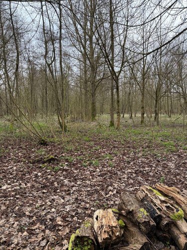 Maison a vendre Serques 62910 Pas-de-Calais 75 m2 3 pièces 194625 euros