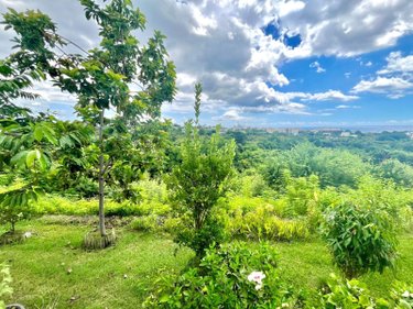 Maison a vendre La Possession 97419 Réunion 130 m2 5 pièces 780000 euros