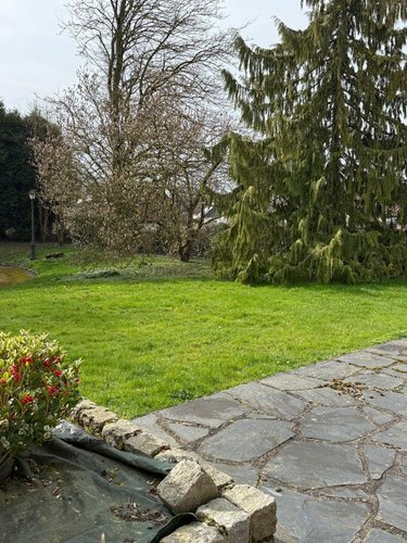 Maison a vendre Wavrans-sur-l'Aa 62380 Pas-de-Calais 149 m2 5 pièces 333000 euros