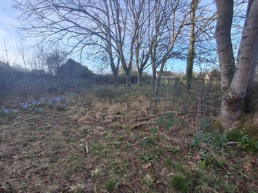 Maison a vendre Argentan 61200 Orne 116 m2 4 pièces 84800 euros