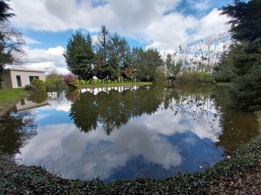Terrains de loisirs bois etangs a vendre Cuillé 53540 Mayenne 3488 m2  69800 euros