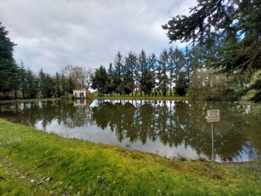Terrains de loisirs bois etangs a vendre Cuillé 53540 Mayenne 3488 m2  69800 euros