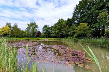 Maison a vendre La Chapelle-aux-Choux 72800 Sarthe 126 m2 9 pièces 303920 euros