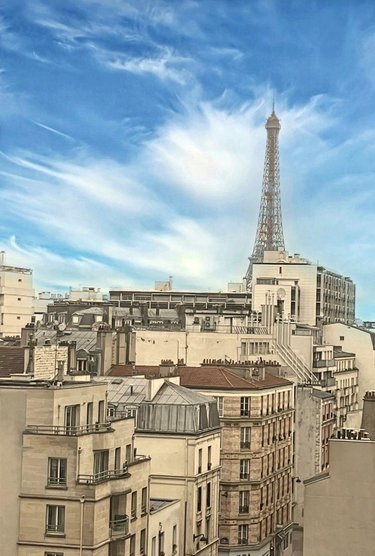 Appartement a vendre Paris 15e arrondissement 75015 Paris 91 m2 4 pièces 962550 euros