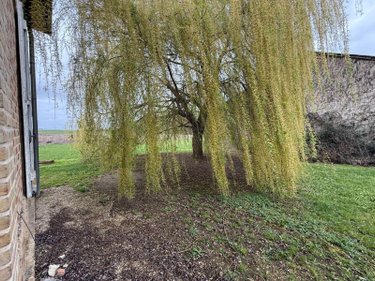 propriete a vendre Courteranges 10270 Aube 177 m2 6 pièces 417000 euros