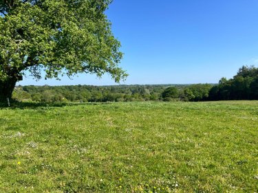 Bien agricole a vendre Scaër 29390 Finistère  8400 euros