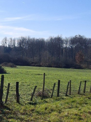 Bien agricole a vendre Allogny 18110 Cher  12500 euros