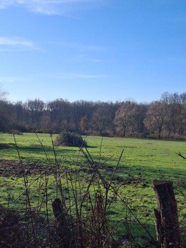 Bien agricole a vendre Allogny 18110 Cher  12500 euros