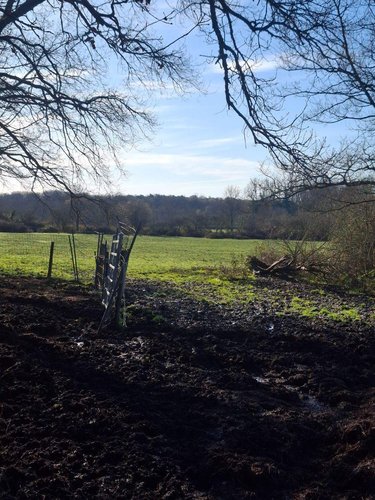 Bien agricole a vendre Allogny 18110 Cher  12500 euros