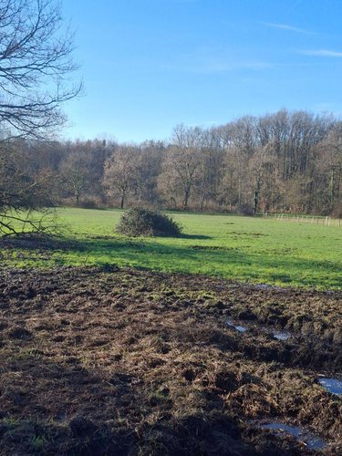 Bien agricole a vendre Allogny 18110 Cher  12500 euros