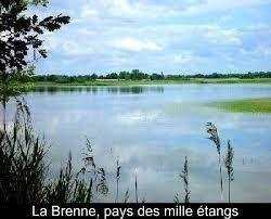 propriete a vendre Lingé 36220 Indre  2625000 euros