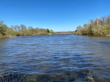 propriete a vendre Lingé 36220 Indre 133 m2 4 pièces 2625000 euros