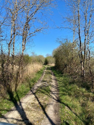 propriete a vendre Lingé 36220 Indre 133 m2 4 pièces 2625000 euros