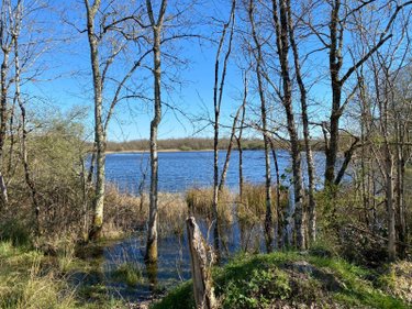 propriete a vendre Lingé 36220 Indre 133 m2 4 pièces 2625000 euros