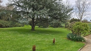 Maison a vendre Brioux-sur-Boutonne 79170 Deux-Sèvres 173 m2 6 pièces 204000 euros