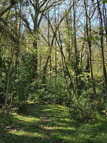 propriete a vendre Saint-Jacut-les-Pins 56220 Morbihan 200 m2  432736 euros