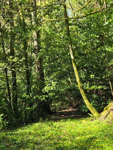 propriete a vendre Saint-Jacut-les-Pins 56220 Morbihan 200 m2  432736 euros