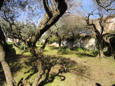 Terrain a batir a vendre Saint-Gilles 30800 Gard 300 m2  99000 euros