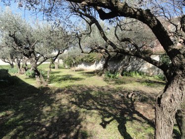 Terrain a batir a vendre Saint-Gilles 30800 Gard 300 m2  99000 euros