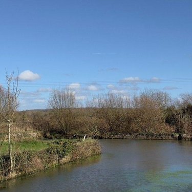 propriete a vendre La Haye 50250 Manche 339 m2 12 pièces 595125 euros