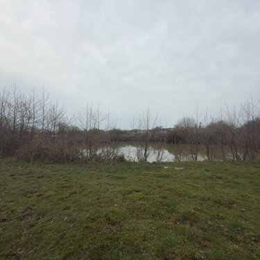 propriete a vendre La Haye 50250 Manche 339 m2 12 pièces 548550 euros