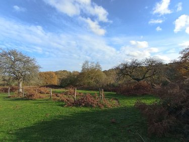 Maison a vendre Sainte-Honorine-la-Chardonne 61430 Orne 217 m2 9 pièces 364750 euros