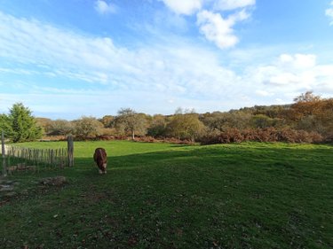 Maison a vendre Sainte-Honorine-la-Chardonne 61430 Orne 217 m2 9 pièces 364750 euros