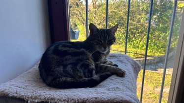 Maison a vendre Saint-Aubin-des-Landes 35500 Ille-et-Vilaine 138 m2 7 pièces 218820 euros