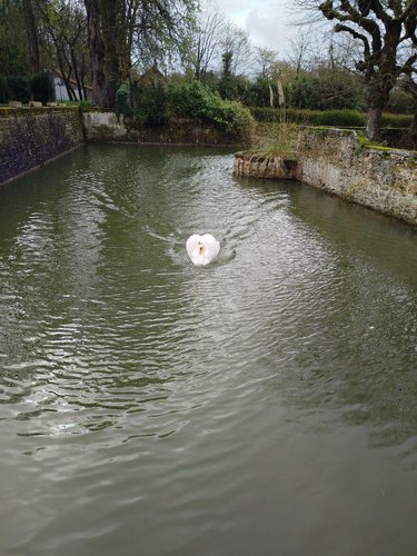 propriete a vendre Écommoy 72220 Sarthe 500 m2  1522500 euros