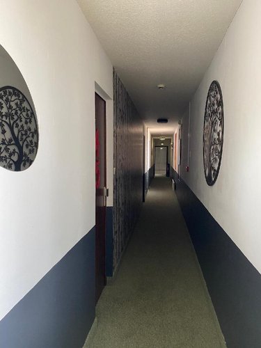 Fonds et murs commerciaux a vendre Digoin 71160 Saône-et-Loire 787 m2  549961 euros