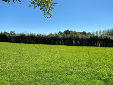 Maison a vendre Poisson 71600 Saône-et-Loire 74 m2 3 pièces 108544 euros