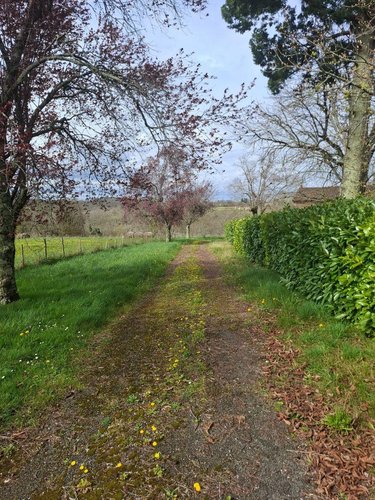 Maison a vendre Saint-Avit-Sénieur 24440 Dordogne 173 m2  296000 euros