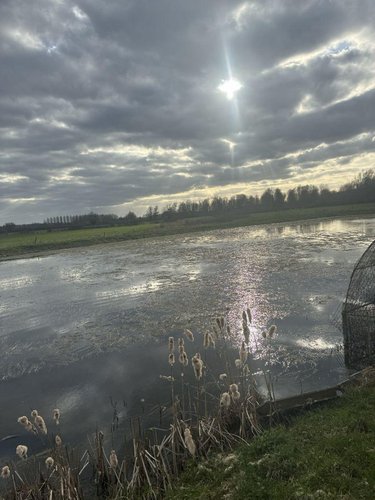 Terrains de loisirs bois etangs a vendre Noyelles-sur-Sambre 59550 Nord 19680 m2  74700 euros