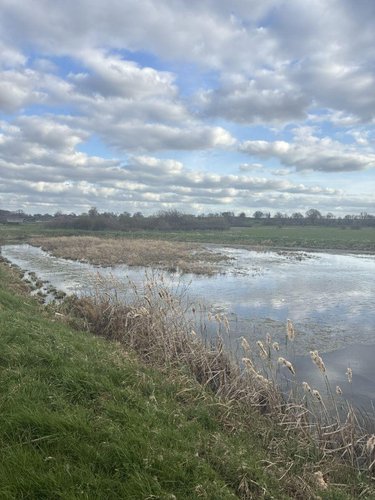 Terrains de loisirs bois etangs a vendre Noyelles-sur-Sambre 59550 Nord 19680 m2  74700 euros