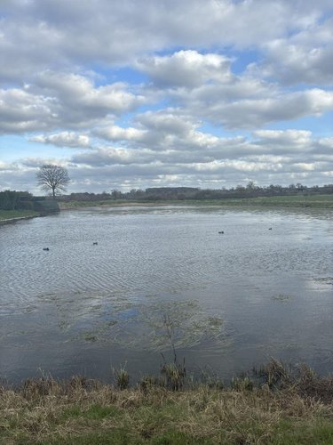 Terrains de loisirs bois etangs a vendre Noyelles-sur-Sambre 59550 Nord 19680 m2  74700 euros