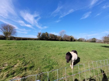 Maison a vendre Lacres 62830 Pas-de-Calais 172 m2 7 pièces 388500 euros