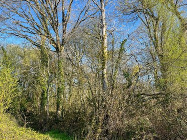 Terrains de loisirs bois etangs a vendre Hédé Bazouges 35630 Ille-et-Vilaine 1990 m2  8500 euros