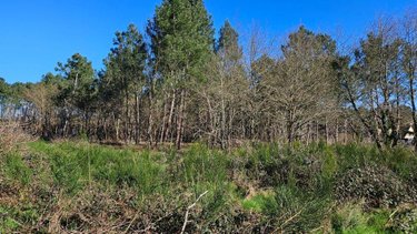 Terrains de loisirs bois etangs a vendre Guécélard 72230 Sarthe 21818 m2  16500 euros