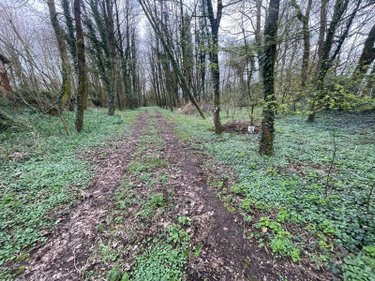 Terrain a batir a vendre Humières 62130 Pas-de-Calais 9593 m2  42880 euros