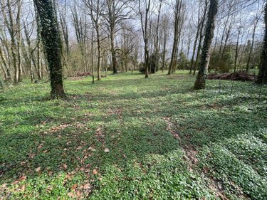 Terrain a batir a vendre Humières 62130 Pas-de-Calais 9593 m2  42880 euros