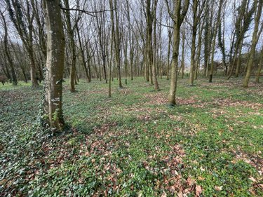 Terrain a batir a vendre Humières 62130 Pas-de-Calais 9593 m2  42880 euros