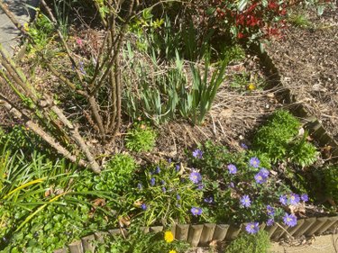 Maison a vendre Saint-Germain-le-Guillaume 53240 Mayenne 97 m2 5 pièces 170324 euros