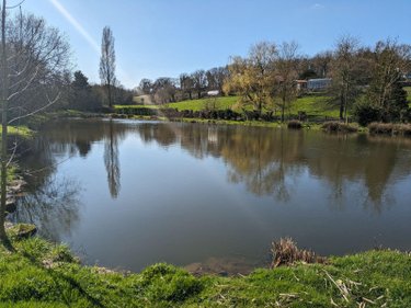 Terrains de loisirs bois etangs a vendre Les Herbiers 85500 Vendée 4125 m2  18000 euros